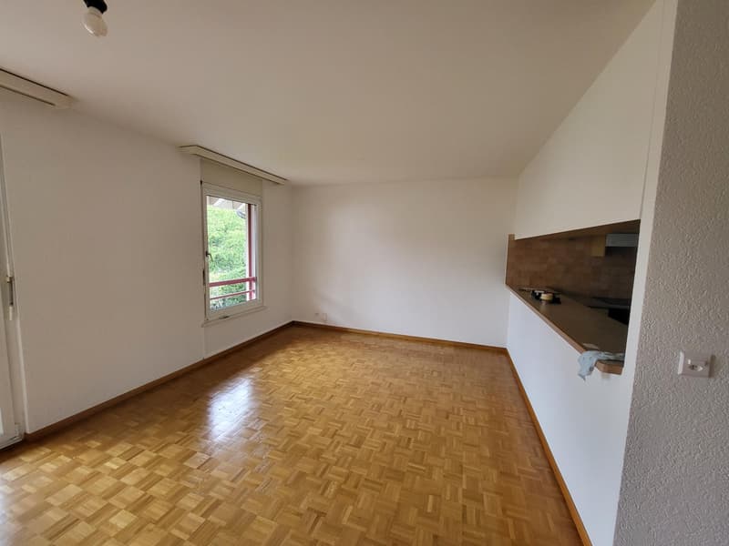 Ravissant appartement 3 pièces traversant au coeur de Meinier (5)