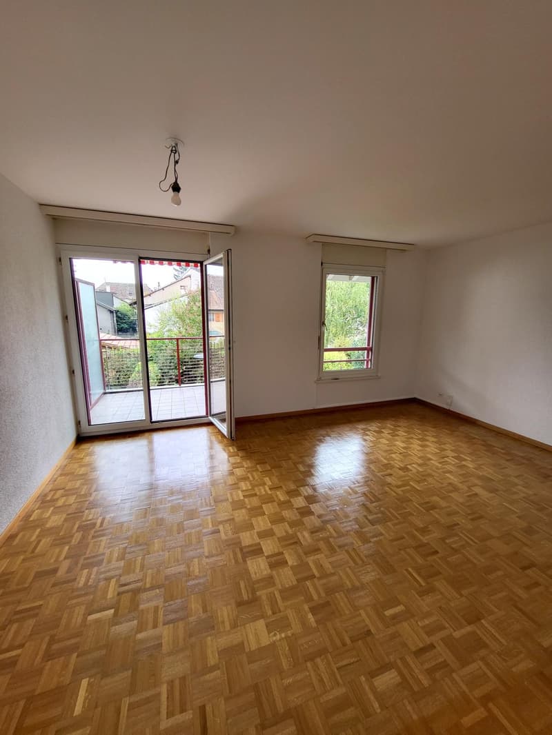 Ravissant appartement 3 pièces traversant au coeur de Meinier (4)