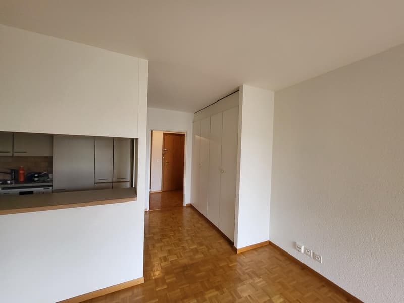 Ravissant appartement 3 pièces traversant au coeur de Meinier (3)