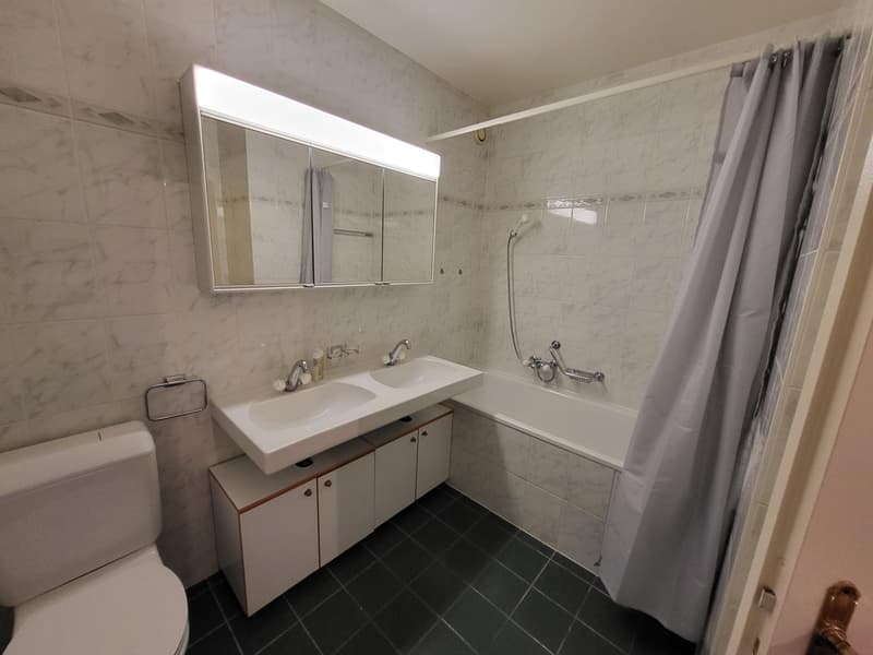 Ravissant appartement 3 pièces traversant au coeur de Meinier (8)