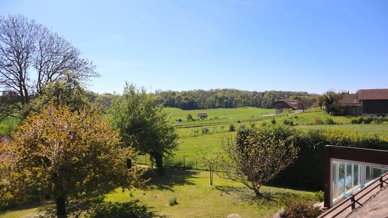 Family villa with 5.5 rooms in Agiez with pool (3)