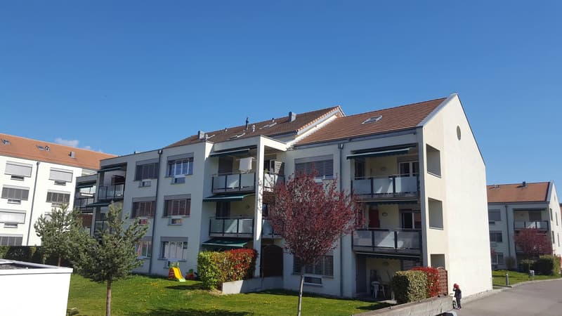 3.5 room apartment on the ground floor (1)