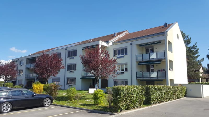 Appartement 3.5 pces au dernier étage (1)