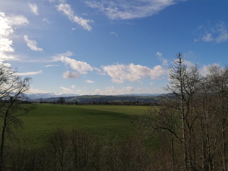 green field, trees, hills, clear blue sky with clouds