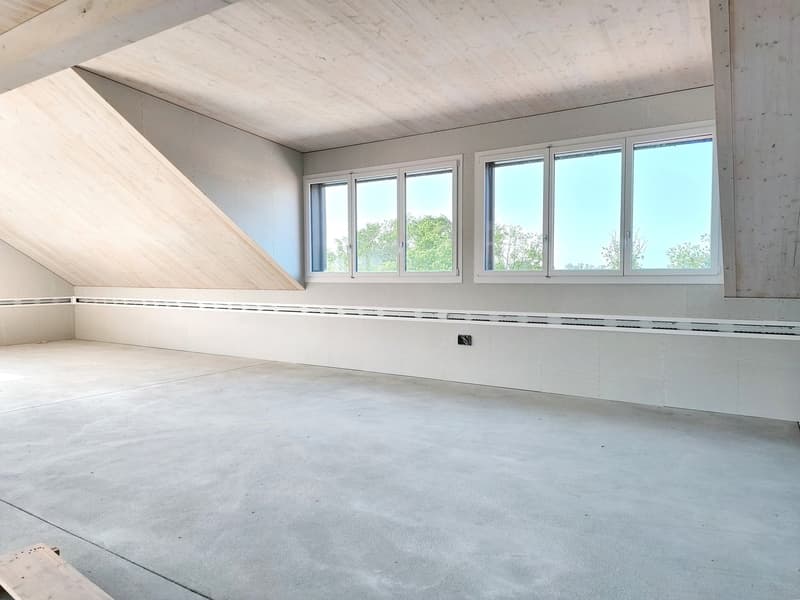 empty attic with three windows, wooden ceiling, concrete floor