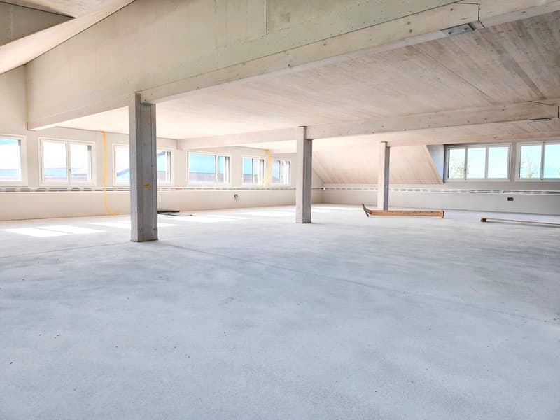 Empty room, concrete floor, exposed wooden ceiling, multiple windows.