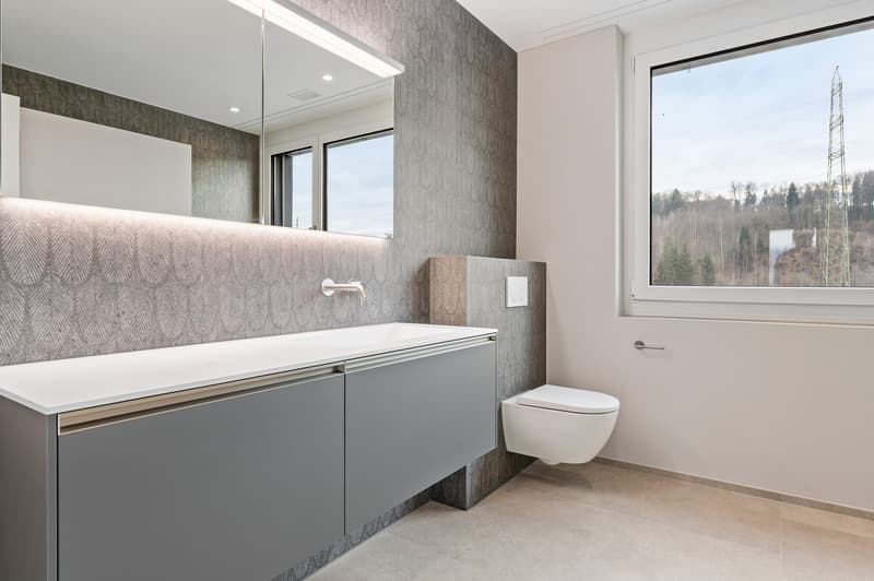 Wohnen UND Arbeiten der EXTRAKLASSE in Bremgarten (22)