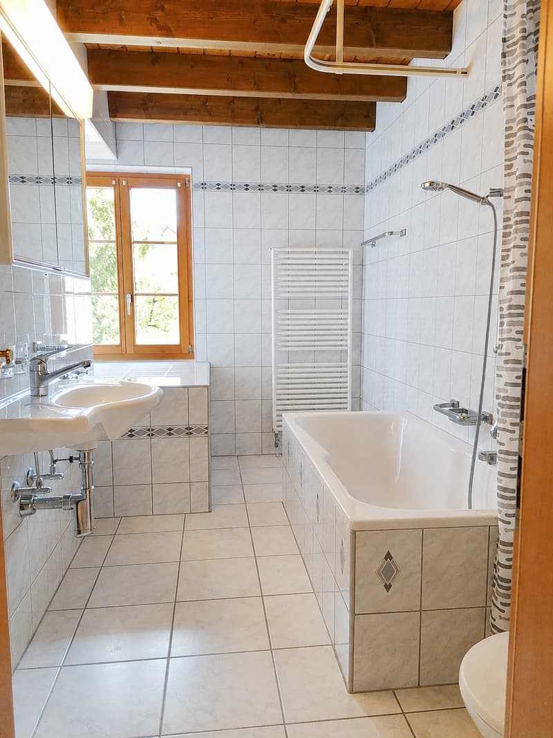 Grosszügige Wohnung mit wunderschönem Balkon (13)