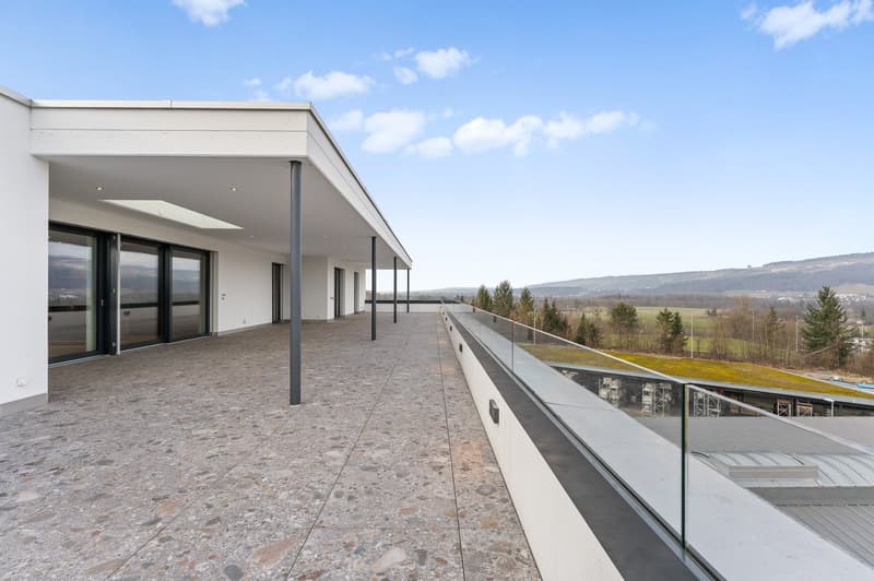 245 m² für Business & Lifestyle – Attika in Bremgarten (2)