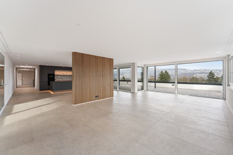 245 m² für Business & Lifestyle – Attika in Bremgarten (9)