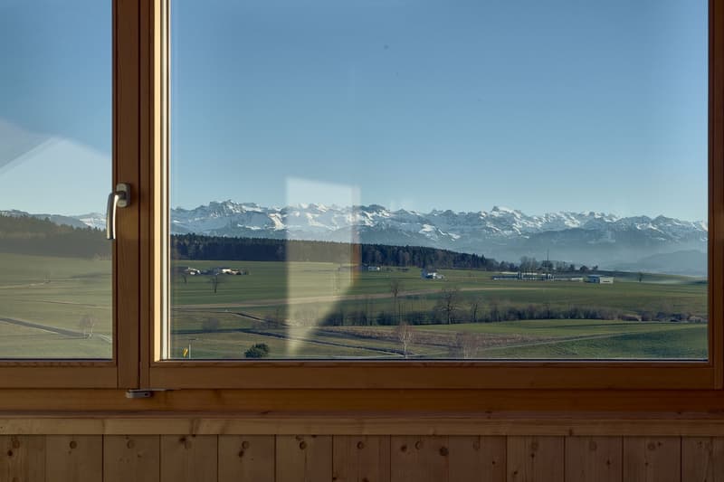 Modernes Wohnen mit Bergpanorama (8)
