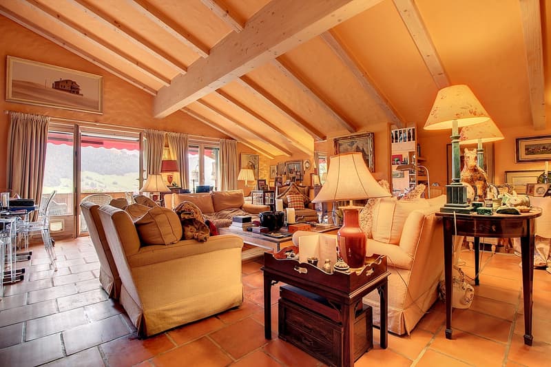 Appartement aux combles sur les hauteurs (1)