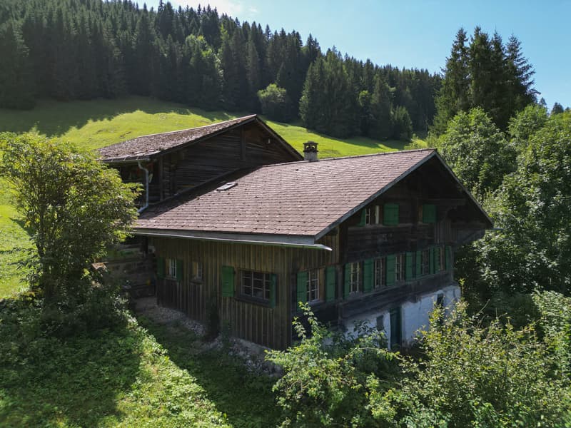 Ancienne ferme du XVIII siècle à rénover (1)