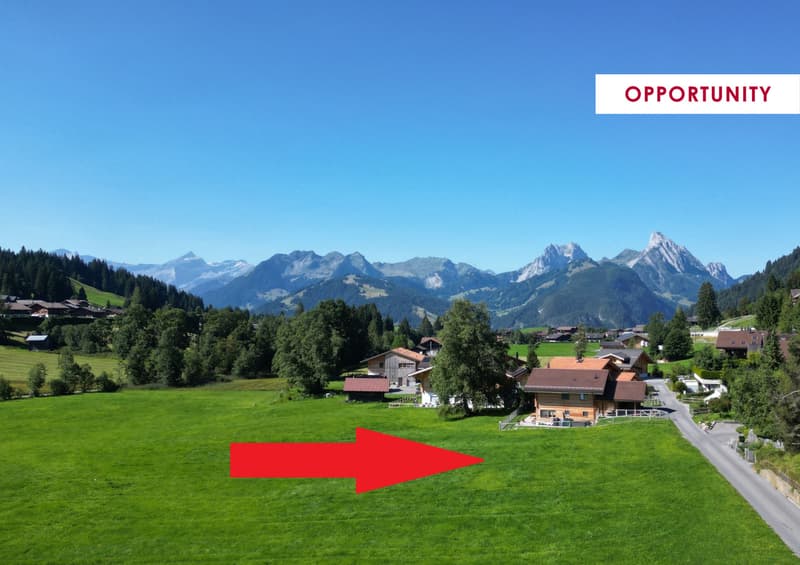 Terrain constructible d'env. 800m2 dans un cadre idyllique à Schönried (1)