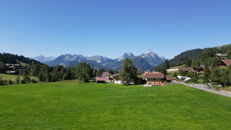 Terrain constructible d'env. 800m2 dans un cadre idyllique à Schönried (6)