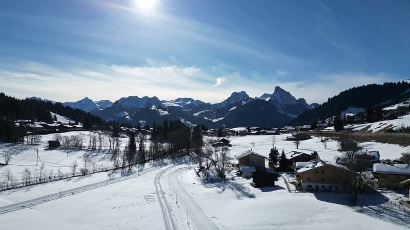 Terrain constructible d'env. 800m2 dans un cadre idyllique à Schönried (2)