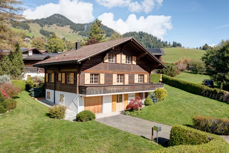 Château-d'Oex - Chalet typique avec grand jardin (1)