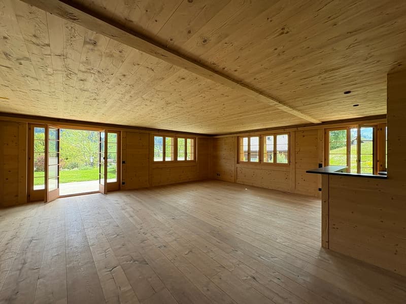 Salon - état actuel / Wohnzimmer - aktueller Zustand / Living room - current state