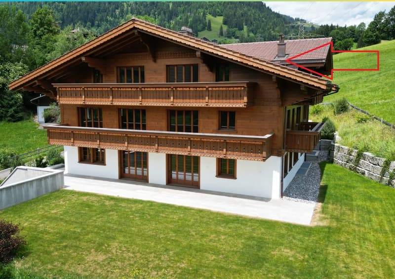 Saanen - Penthouse moderne (9)
