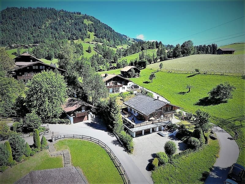 Chalet familial près de Gstaad (5)
