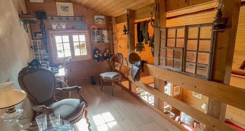 Chalet familial près de Gstaad (4)