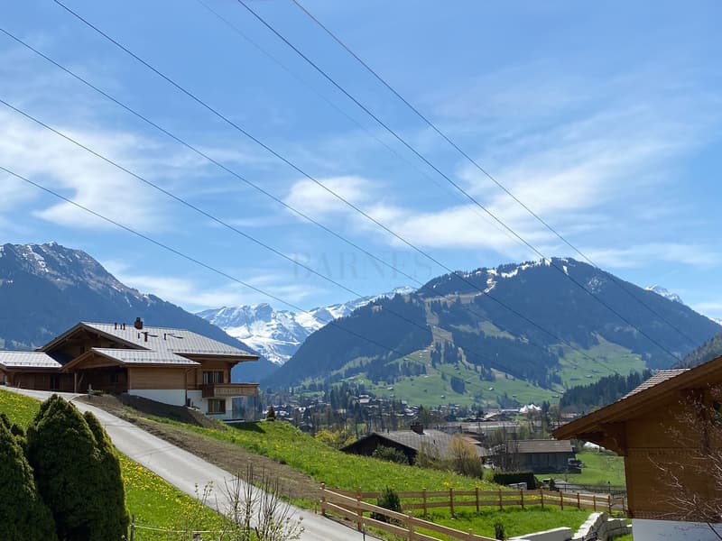 Chalet familial près de Gstaad (6)
