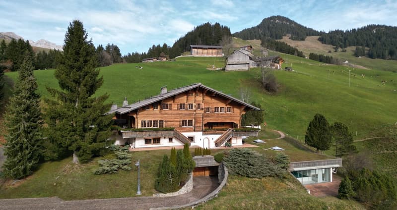 Objet rarissime - Chalet de luxe avec vue imprenable sur la vallée (2)