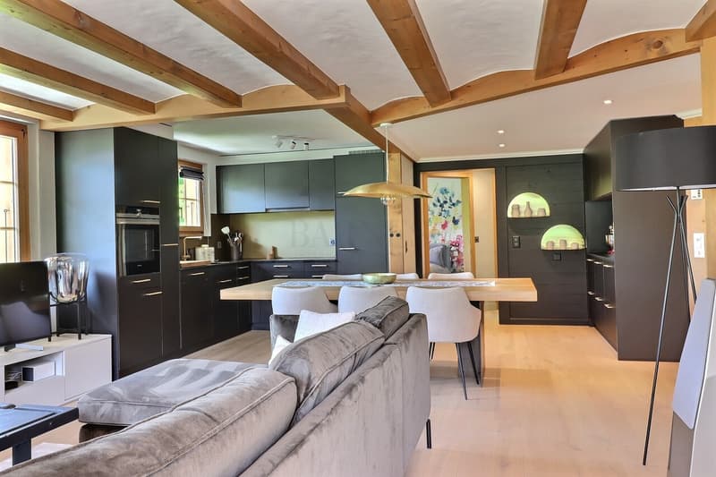 Charmant appartement moderne avec vue montagne (3)