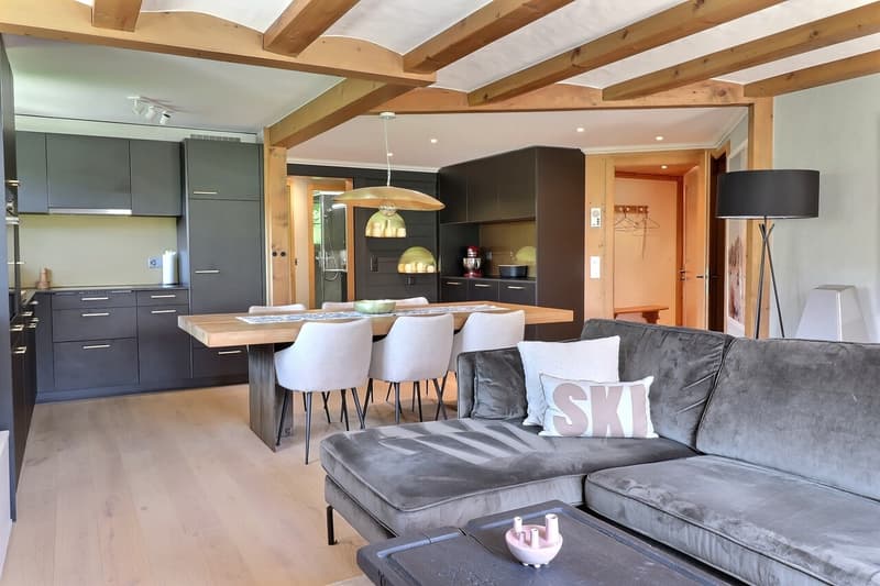 Charmant appartement moderne avec vue montagne (2)