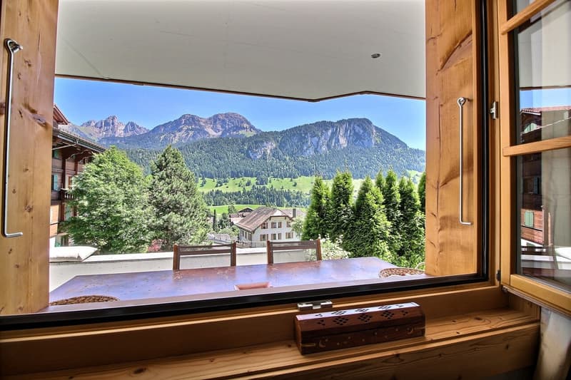 La vue depuis le salon