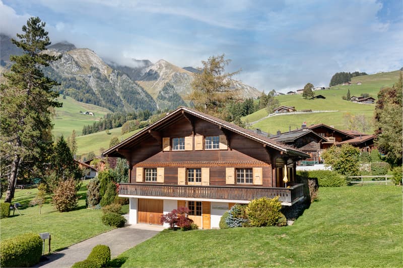 Château-d'Oex - Chalet charmant avec grand jardin (1)