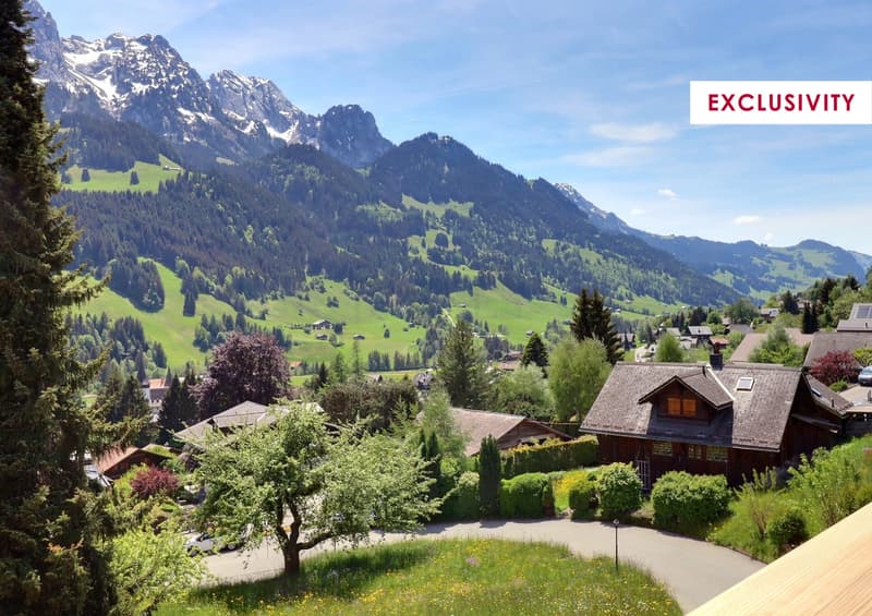 Charmant appartement moderne avec vue montagne (1)