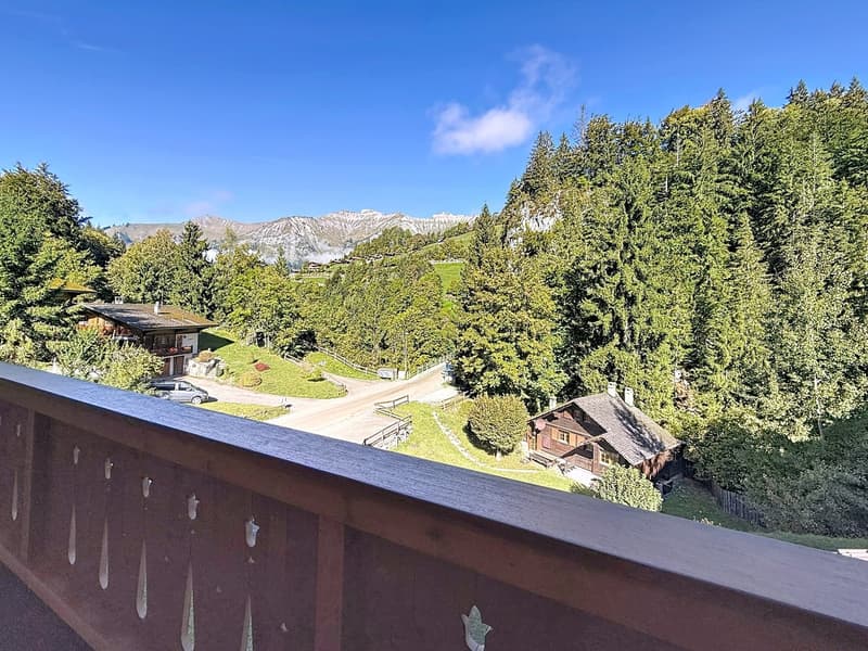Aux portes de Gstaad - Appartement d'exception dans un chalet moderne (6)