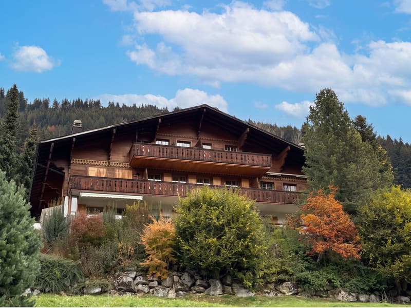 Vue chalet / Blick auf das Chalet / View of the chalet