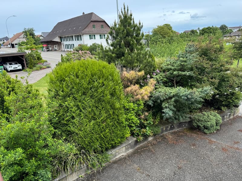 Residential and Commercial Property, Egerkingen (7)