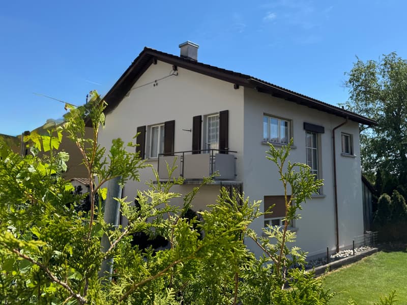 Residential and Commercial Property, Egerkingen (4)