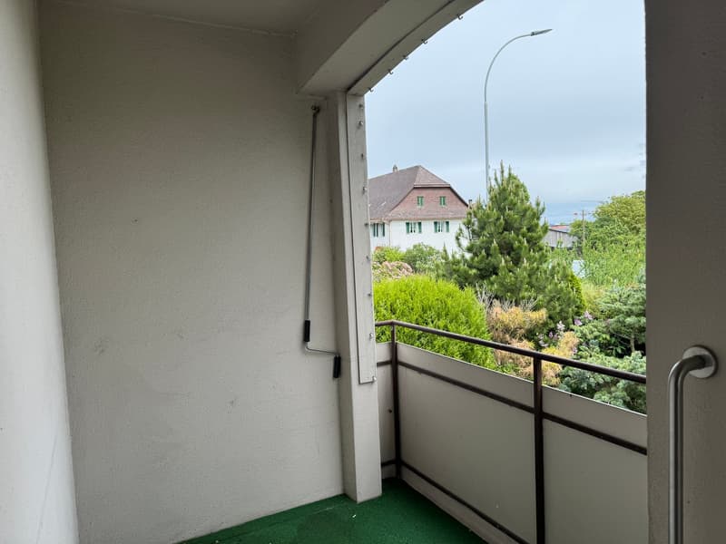 Residential and Commercial Property, Egerkingen (6)
