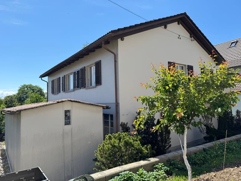 Residential and Commercial Property, Egerkingen (3)