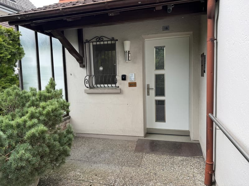 Residential and Commercial Property, Egerkingen (5)