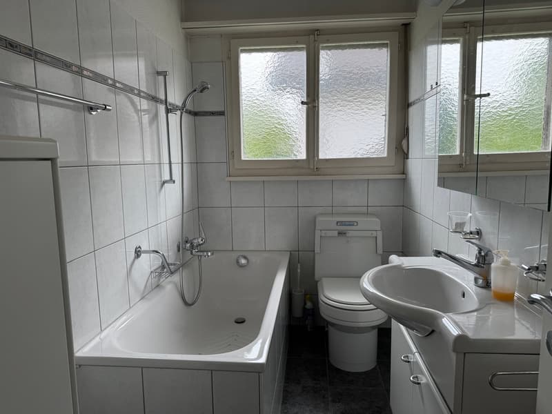 Residential and Commercial Property, Egerkingen (10)