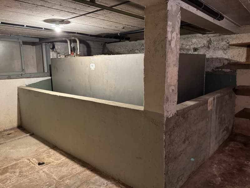 Residential and Commercial Property, Egerkingen (18)