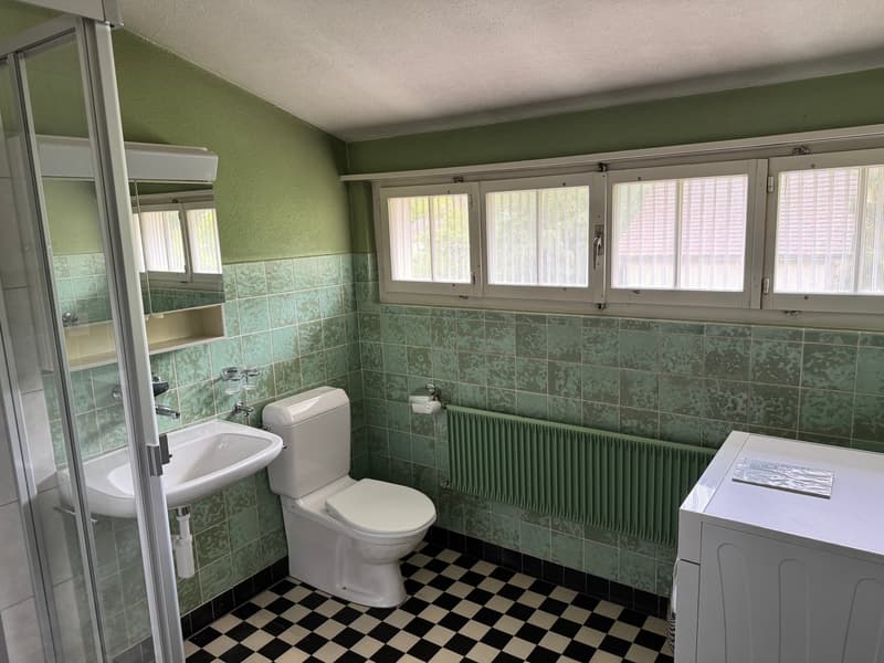 Single-family house with beautiful garden layout in quiet residential area (15)