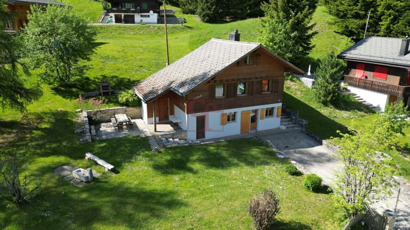 Chalet cosy avec fort potentiel à La Lécherette (1)