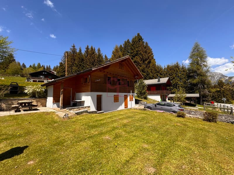Chalet cosy avec fort potentiel à La Lécherette (7)