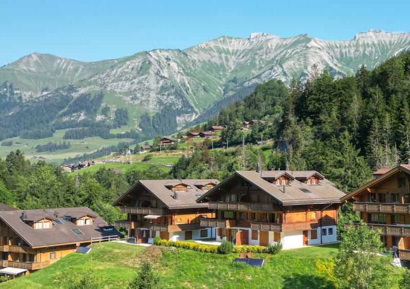 Aux portes de Gstaad - Charmant 3.5 pièces (8)