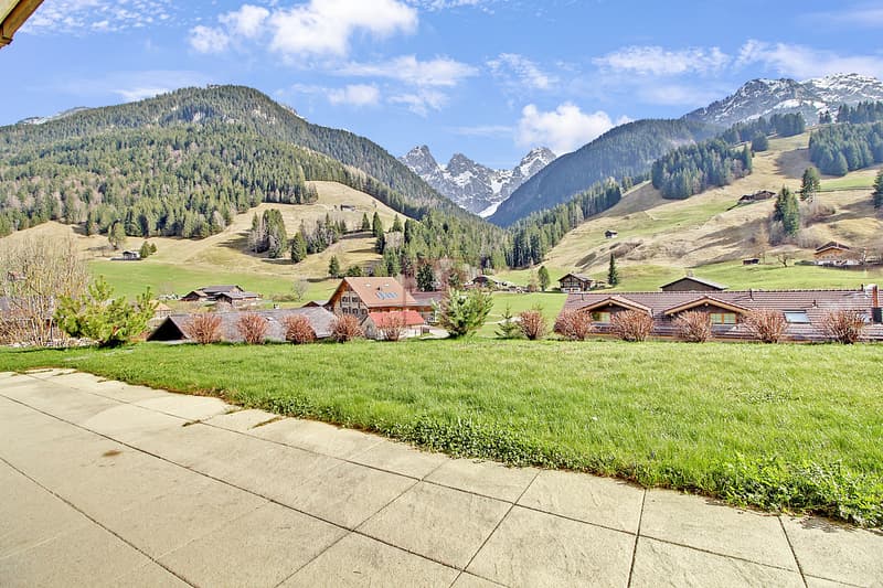 Aux portes de Gstaad - Charmant 3.5 pièces (1)