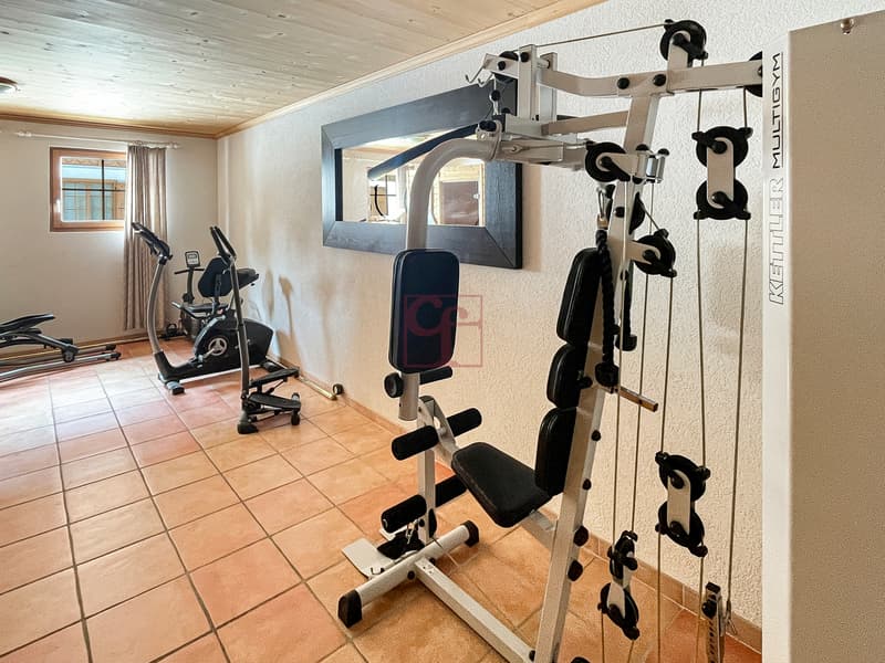 Aux portes de Gstaad - Charmant 3.5 pièces (6)