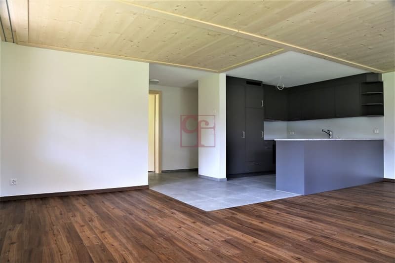 Château-d'Oex - Appartement dans cadre bucolique (3)