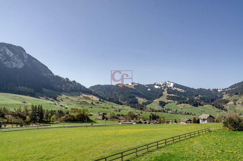 Appartement lumineux de 4,5 pièces avec vue imprenable à Château-d'Oex (4)