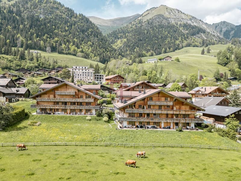 Appartement lumineux de 4,5 pièces avec vue imprenable à Château-d'Oex (5)